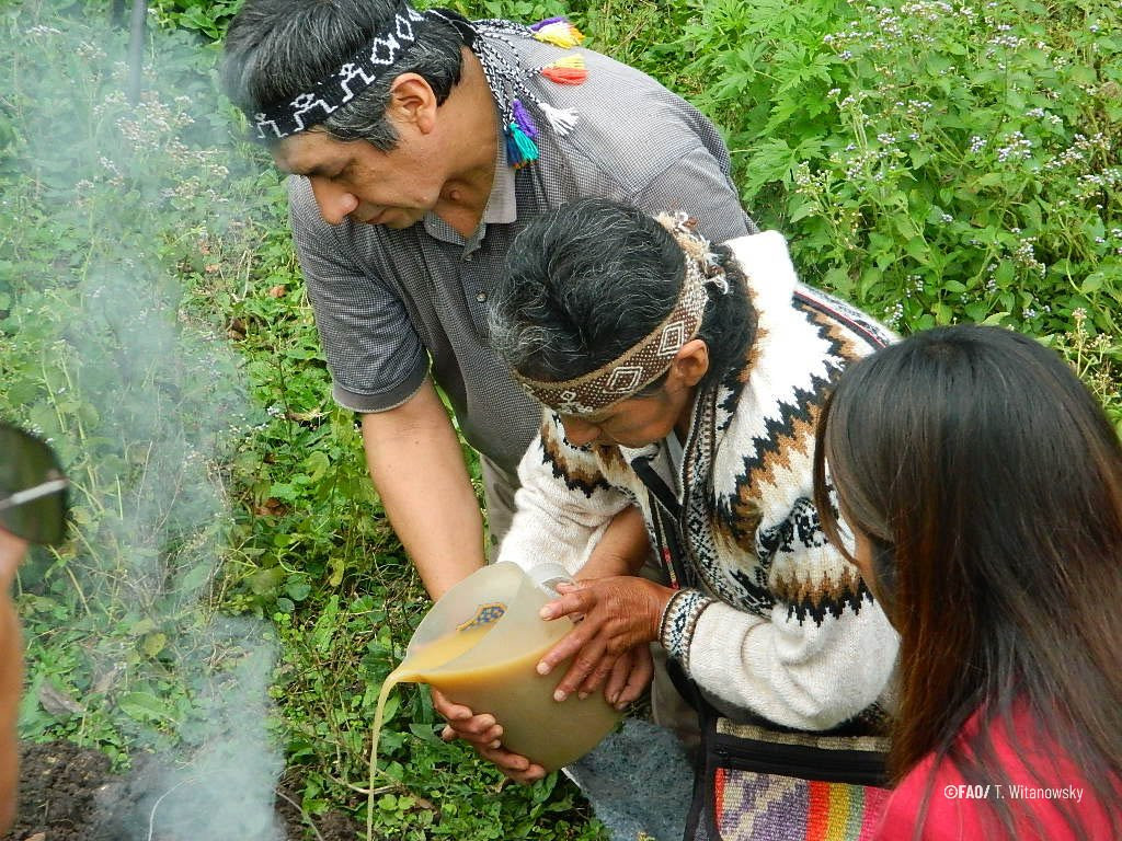 Two Indigenous Individuals with traditional headwear and clothing are in the field pouring a liquid into the ground.