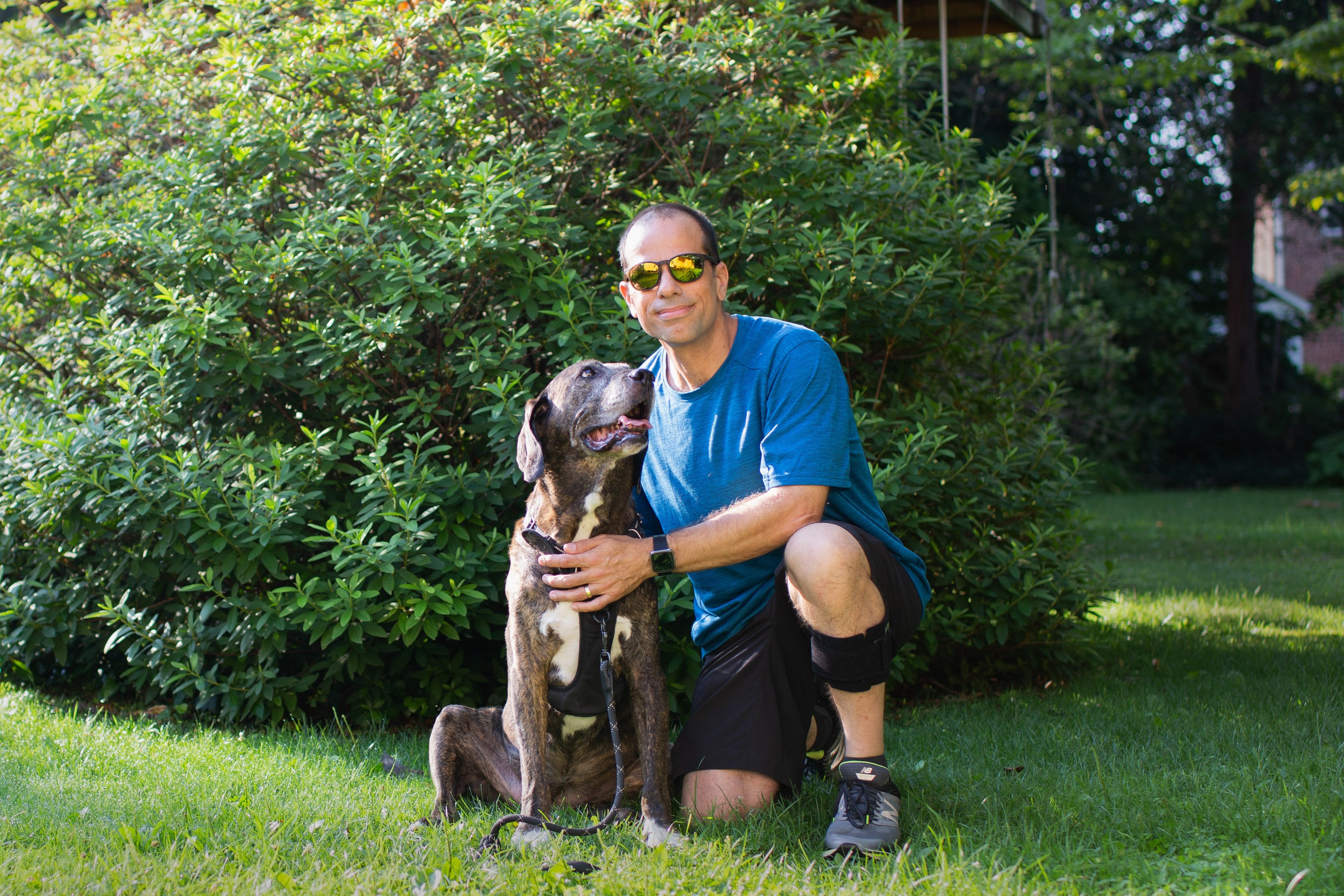 A man wearing a blue shirt and black shorts kneeling next to a big brown dog.